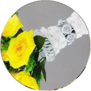 Ảnh trong - Hình tròn